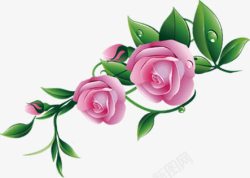 粉色甜美玫瑰花朵素材