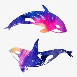 紫色鱼尾手绘鲸鱼高清图片