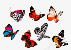 红色清新蝴蝶装饰图案素材