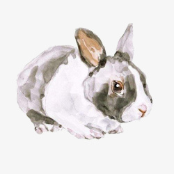 手绘的小兔子素材
