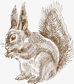 兔子手绘素描矢量图素材