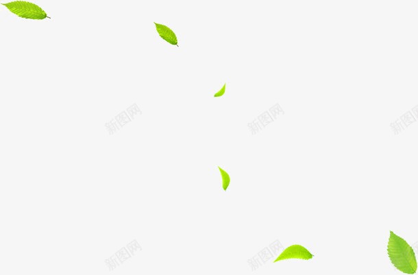 漂浮春天绿叶植物装饰png免抠素材_88icon https://88icon.com 春天 植物 漂浮 绿叶 装饰