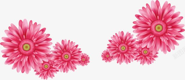 粉色手绘节日花朵装饰png免抠素材_88icon https://88icon.com 粉色 节日 花朵 装饰