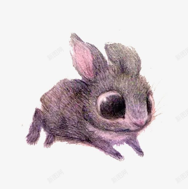 创意可爱大眼睛兔子png免抠素材_88icon https://88icon.com 兔子 动物 可爱兔子 可爱动物 大眼睛兔子