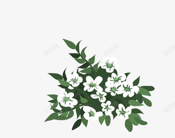 绿叶和白色小花简图png免抠素材_88icon https://88icon.com 叶子 手绘图 植物 白色小花朵 绿植 花卉 花朵