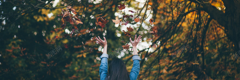 秋季落叶美景摄影6jpg设计背景_88icon https://88icon.com 摄影 秋季 美景 落叶