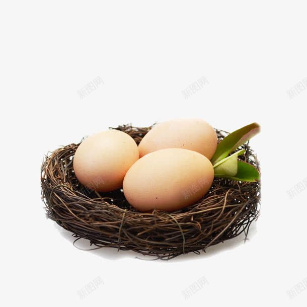 农家土鸡蛋png免抠素材_88icon https://88icon.com 农家土鸡蛋 土鸡蛋 实物 蛋 鸡蛋