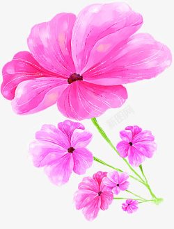 粉色花朵创意唯美素材