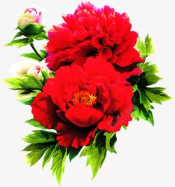 红色鲜花花朵风景素材