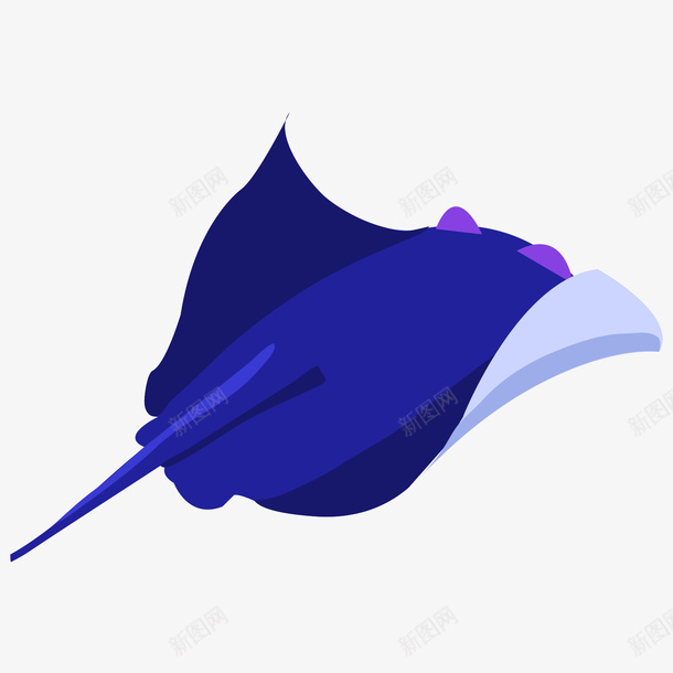 蓝色海鳗psd免抠素材_88icon https://88icon.com 海鳗 漂浮 素材 蓝色