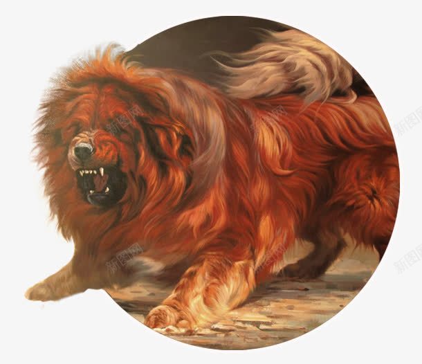 藏獒png免抠素材_88icon https://88icon.com h5素材 凶猛 动物 藏獒