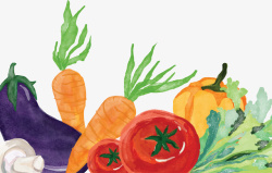 水彩手绘彩色蔬菜矢量图素材