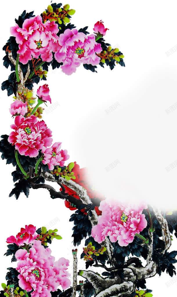 手绘粉色花朵装饰花古典png免抠素材_88icon https://88icon.com 古典 粉色 花朵 装饰