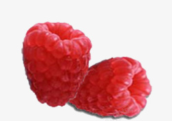 红色水果莓果素材