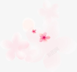 粉色漂浮花朵浪漫素材