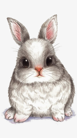 胖兔子卡通兔子高清图片