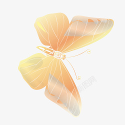 唯美金色的蝴蝶矢量图素材