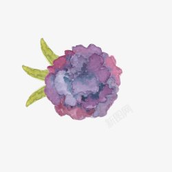 彩绘紫色花朵绿叶素材