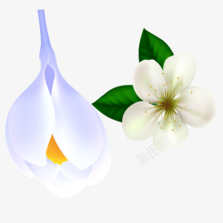 小清新白色手绘花朵装饰素材