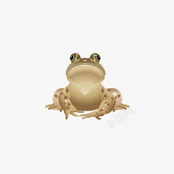 一只青蛙素材