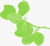 绿色创意环保树叶植物素材