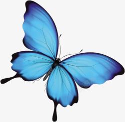 蓝色唯美手绘炫丽蝴蝶素材