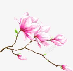 粉色美景手绘花朵素材