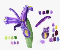 手绘紫色彩绘花卉花瓣素材
