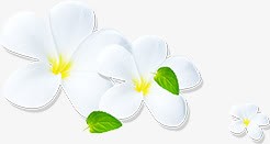 白色花朵卡通植物素材