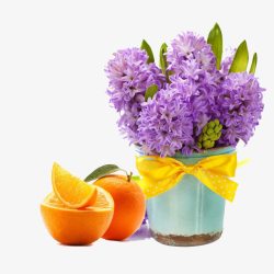 木兰花和甜橙素材