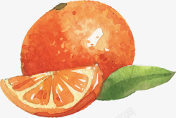 水彩橘子水墨水果素材