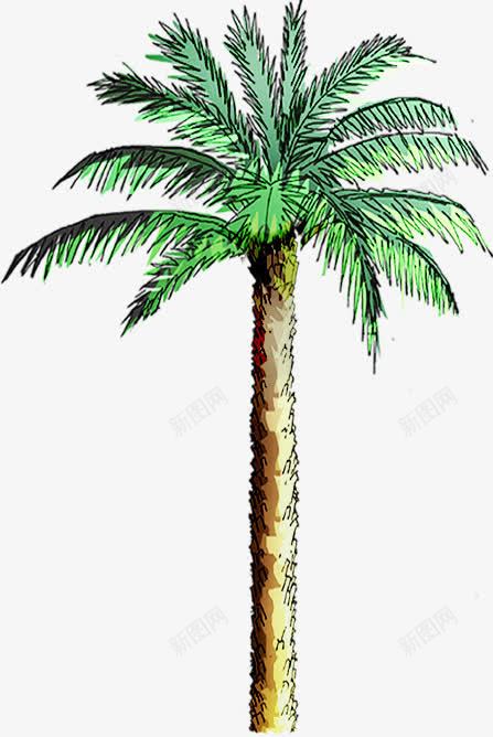 水彩手绘合成绿色的椰子树png免抠素材_88icon https://88icon.com 合成 椰子树 水彩 绿色