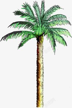 水彩手绘合成绿色的椰子树素材