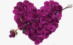 紫色梦幻爱心花瓣装饰图案素材