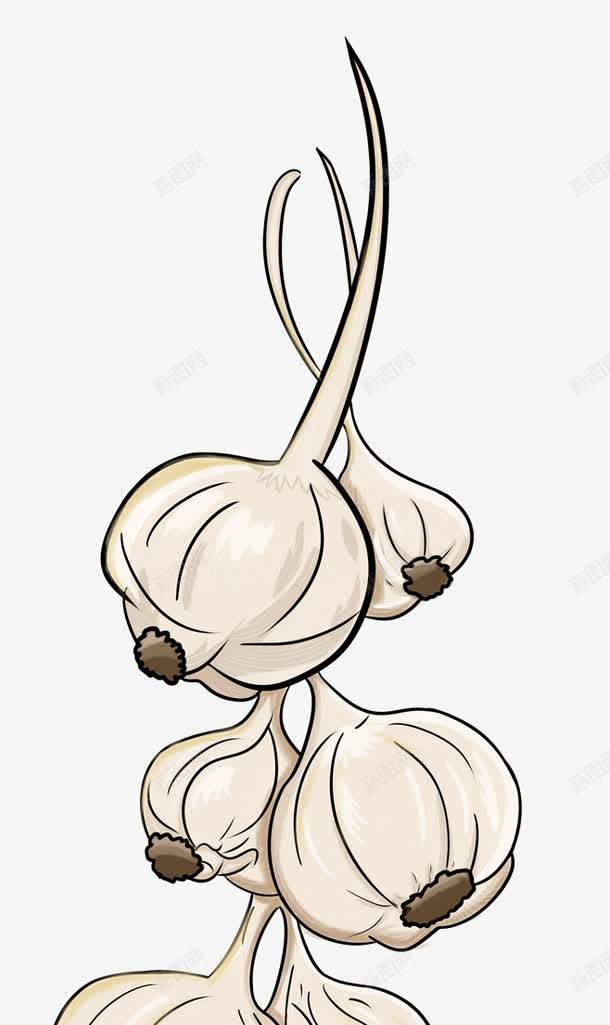卡通白色大蒜png免抠素材_88icon https://88icon.com PNG 卡通 大蒜 白色 调味品