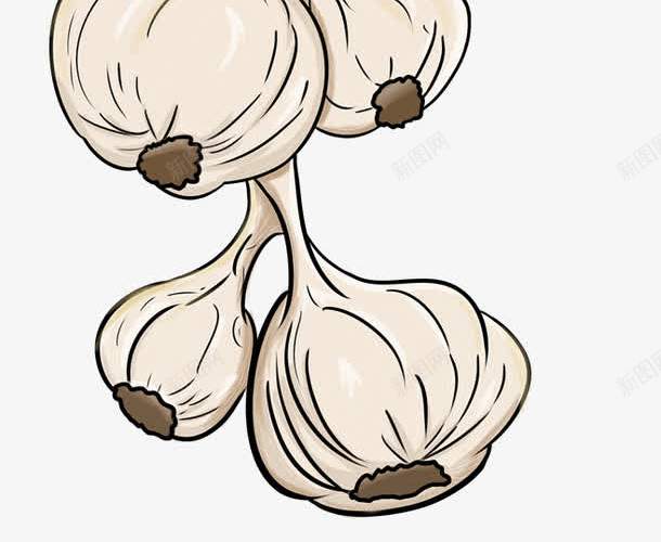 卡通白色大蒜png免抠素材_88icon https://88icon.com PNG 卡通 大蒜 白色 调味品