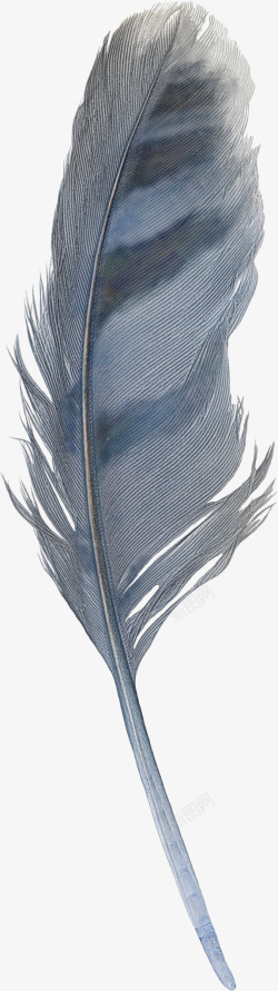 蓝色漂亮羽毛素材