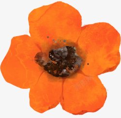 手绘橙色花卉图案素材