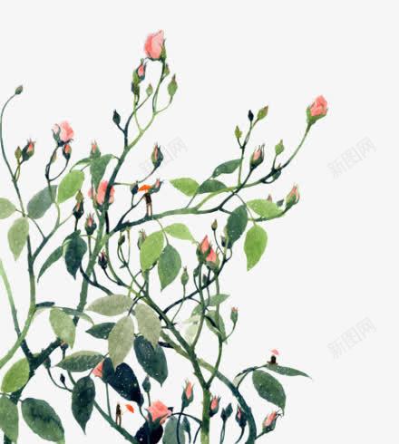 手绘玫瑰花装饰图案png免抠素材_88icon https://88icon.com 手绘 植物 玫瑰 绿叶 花纹 装饰