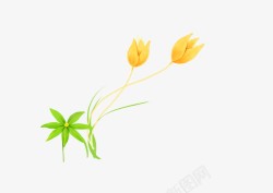黄色的花植物素材