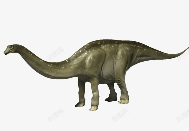 长尾巴恐龙png免抠素材_88icon https://88icon.com 3D恐龙 动物 四腿恐龙 恐龙 肉食动物 长尾巴恐龙