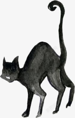 万圣节水彩手绘黑猫素材