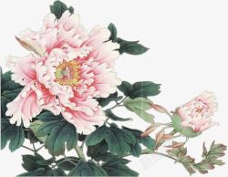 粉色多层手绘花朵素材