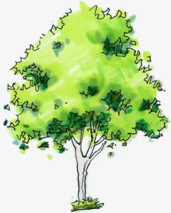 手绘绿色树木插画素材