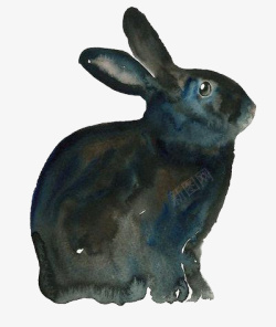 水彩手绘兔子素材