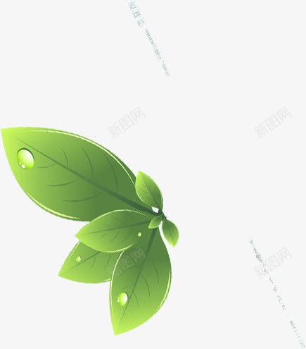 卡通植物绿色夏日树叶png免抠素材_88icon https://88icon.com 卡通 夏日 树叶 植物 绿色
