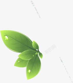 卡通植物绿色夏日树叶素材