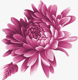 创意合成紫色的花卉效果手绘素材