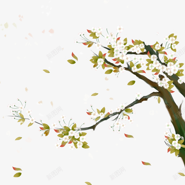 精美手绘树枝上的花朵png免抠素材_88icon https://88icon.com 手绘植物 树叶 树枝 植物 白色花朵 绿植 花卉 花朵