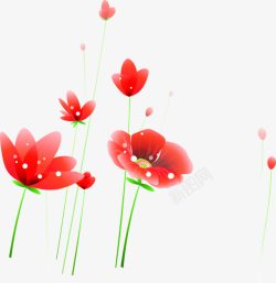 手绘红色花朵海报素材